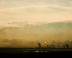 Alastair Strong Studio Defender