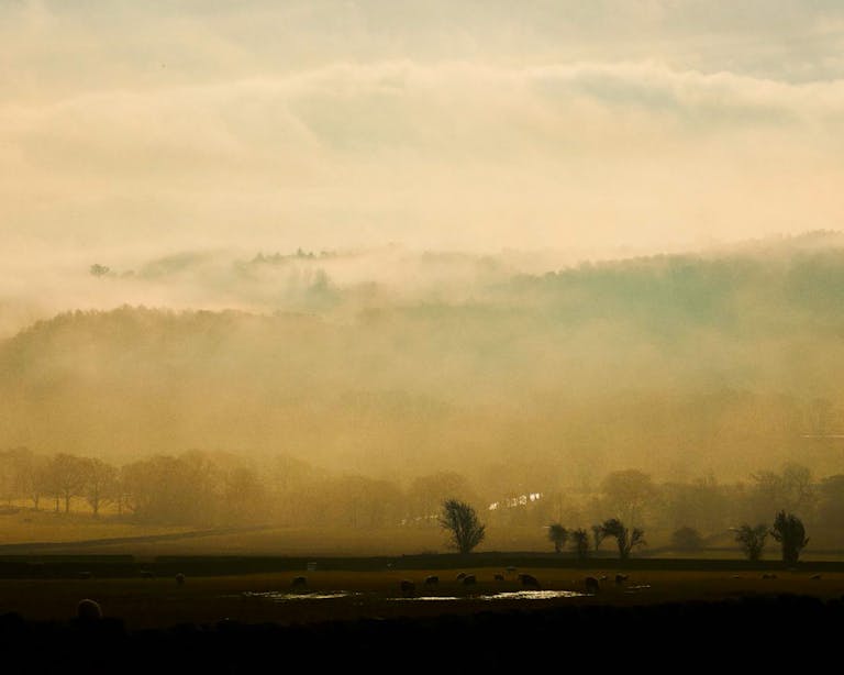 Alastair Strong Studio Defender