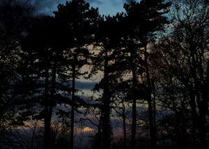 Alastair Strong Studio Defender