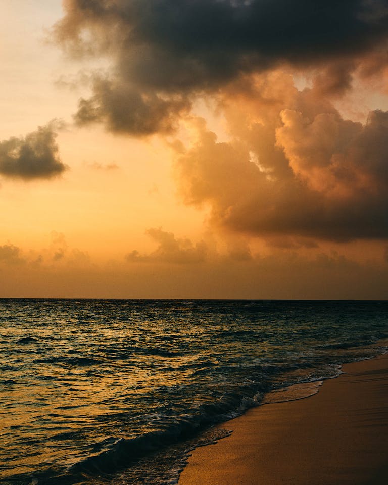 Alastair Strong Studio 111Skin