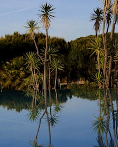 Alastair Strong Studio 111Skin