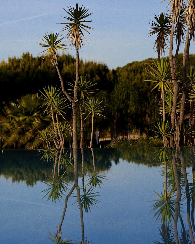 Alastair Strong Studio 111Skin