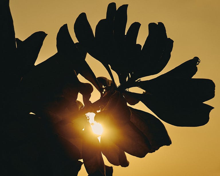 Alastair Strong Studio 111Skin