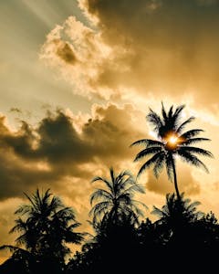 Alastair Strong Studio 111Skin