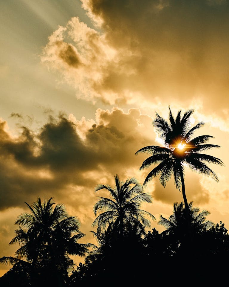 Alastair Strong Studio 111Skin