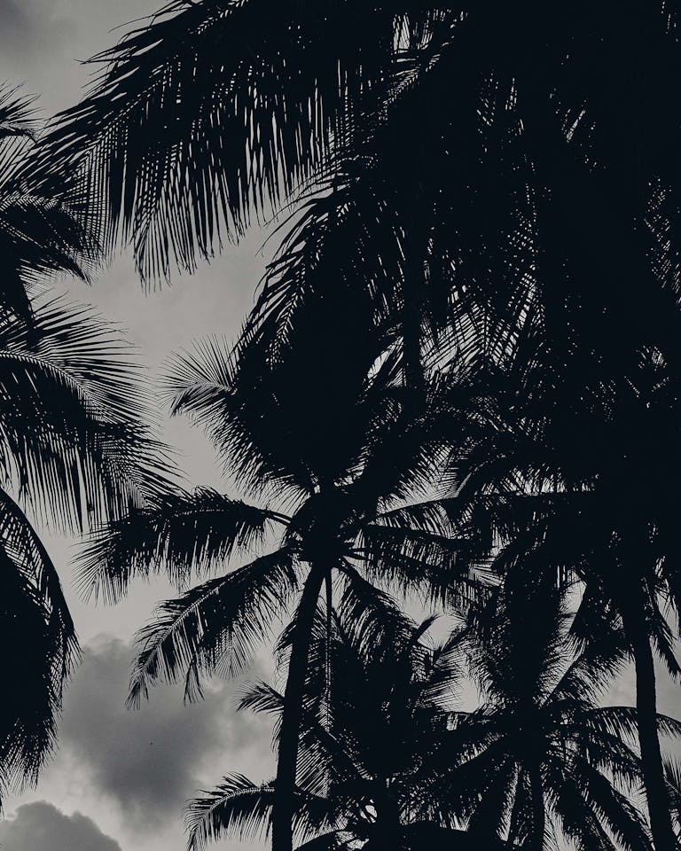 Alastair Strong Studio 111Skin