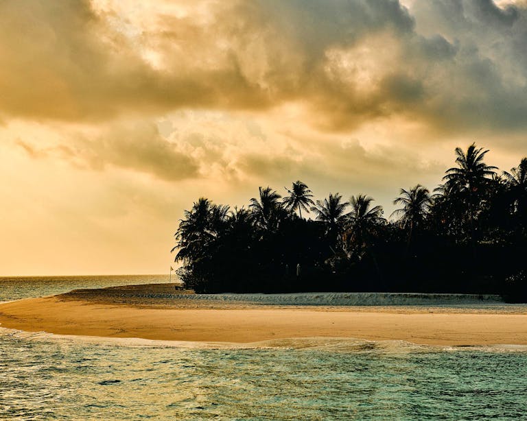 Alastair Strong Studio 111Skin