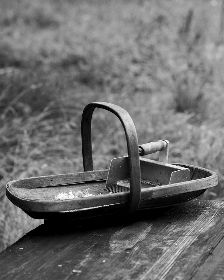 Alastair Strong Studio ADC Ireland