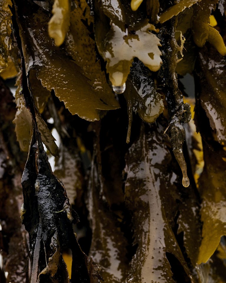 Alastair Strong Studio ADC Ireland