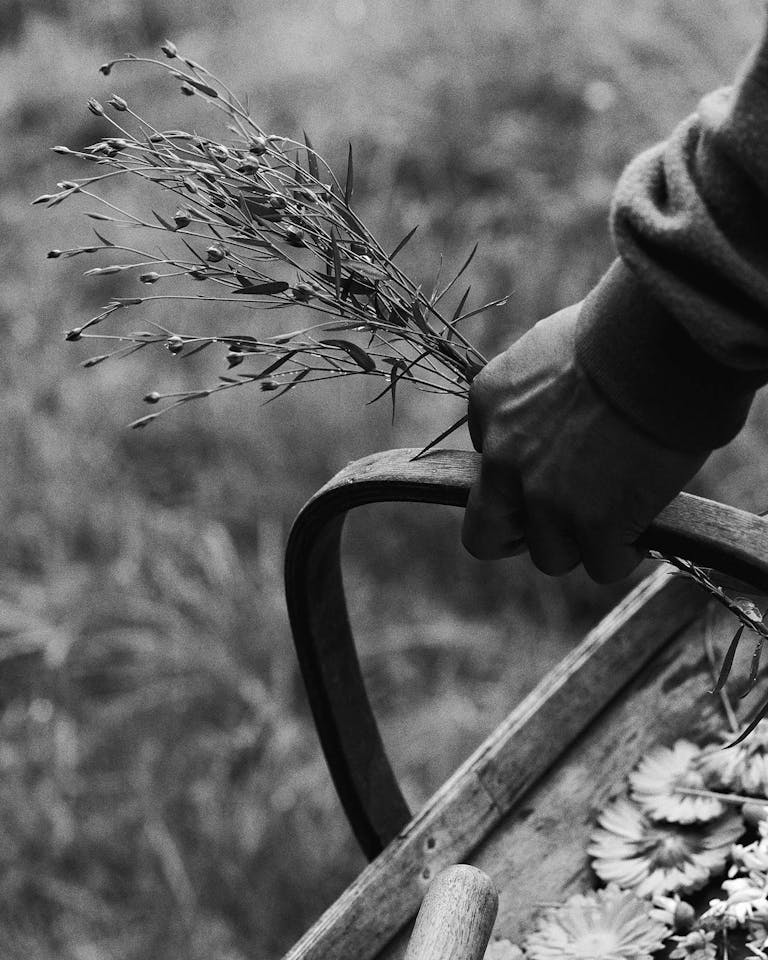 Alastair Strong Studio ADC Ireland