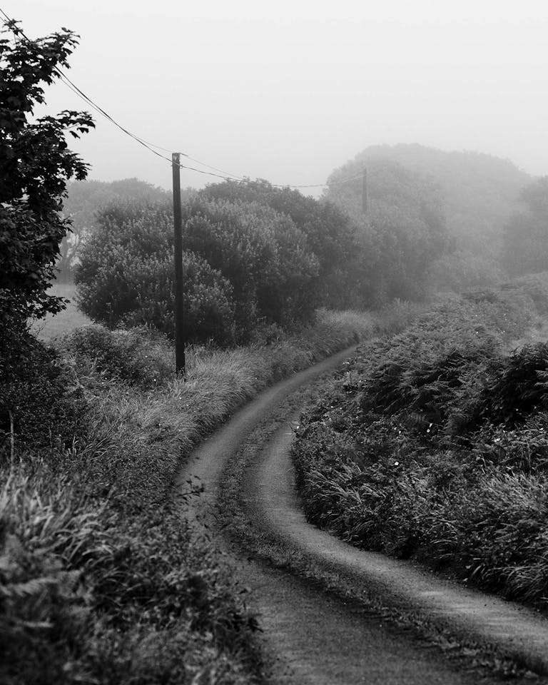 Alastair Strong Studio ADC Ireland