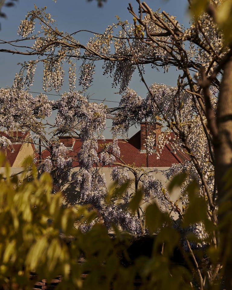 Alastair Strong Studio Blue Mountain School