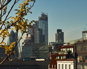 Alastair Strong Studio Blue Mountain School