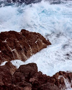 Alastair Strong Studio Louis Vuitton