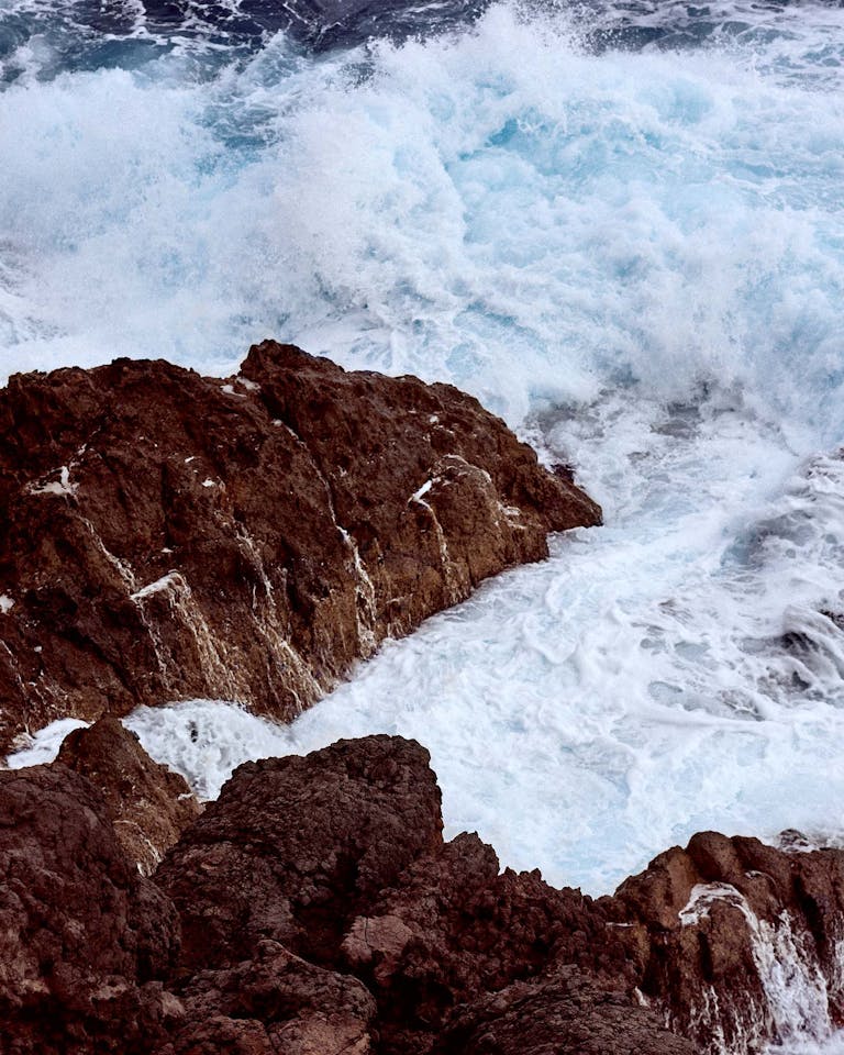 Alastair Strong Studio Louis Vuitton