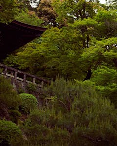 Alastair Strong Studio Maharishi