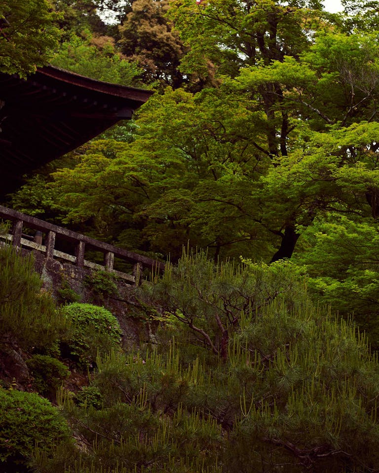 Alastair Strong Studio Maharishi