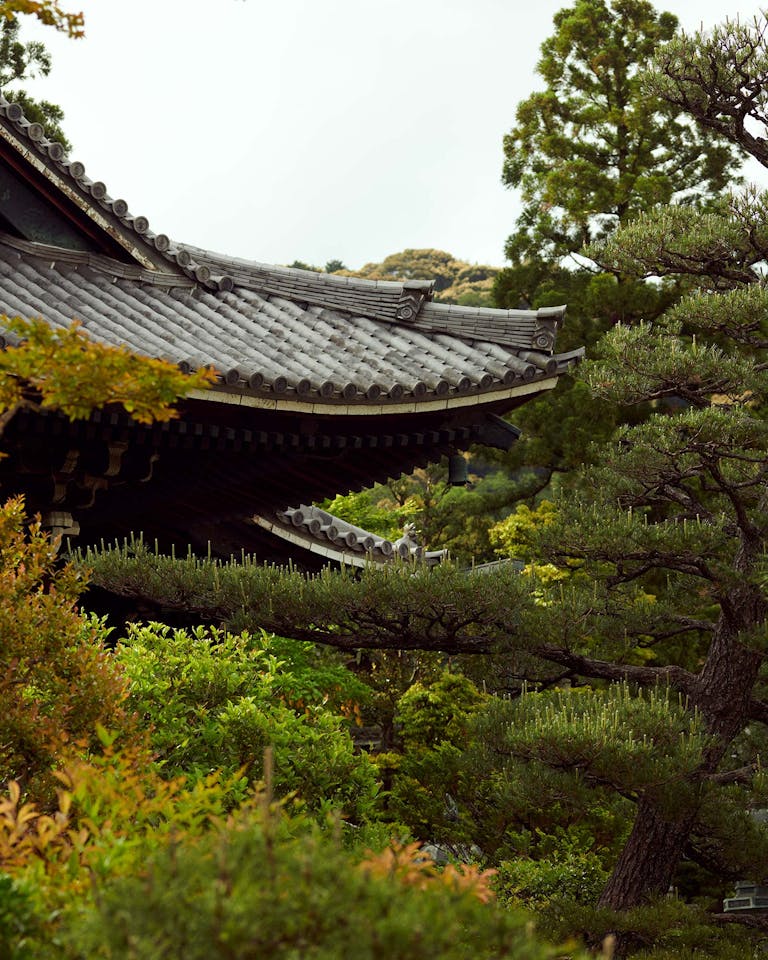 Alastair Strong Studio Maharishi